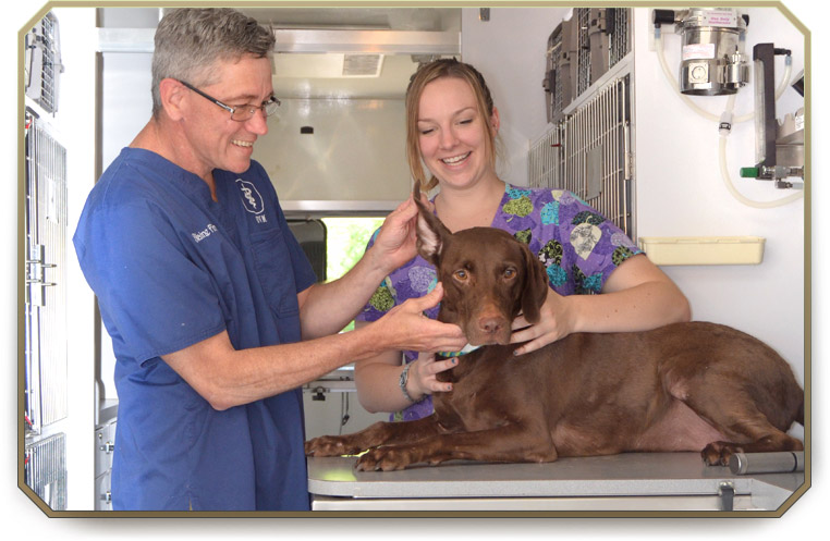 Mobile Vet Services at Slidell Veterinary Hospital